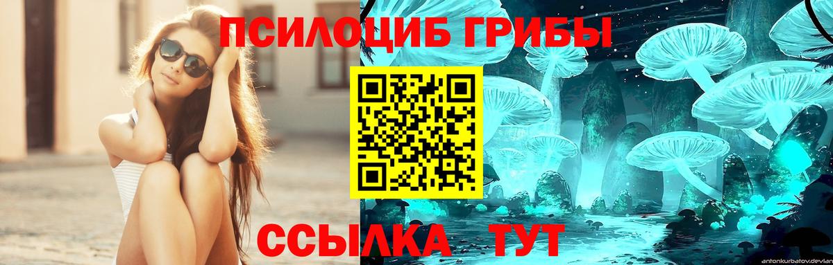 купить закладку  Псилоцибиновые грибы GOLDEN TEACHER  Вход с VPN  Кохма 